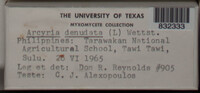 Arcyria denudata image